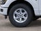 2026 Ford F-150 XLT Fleet