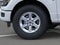 2026 Ford F-150 XLT Fleet