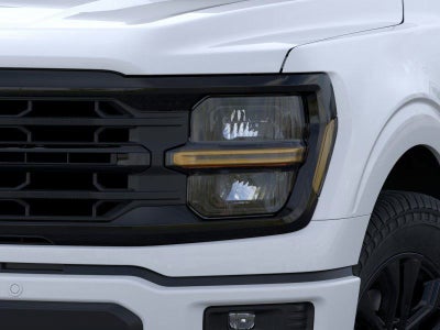 2025 Ford F-150 XLT Fleet
