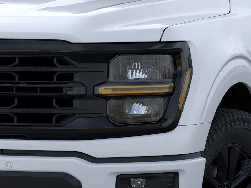 2025 Ford F-150 XLT Fleet