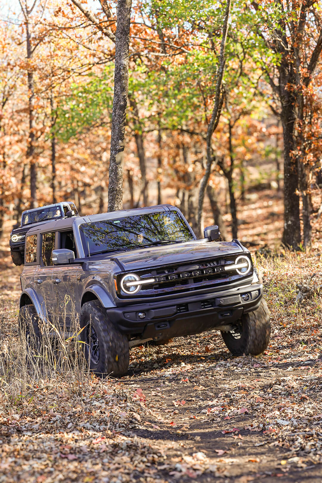 November 2024 Events photos