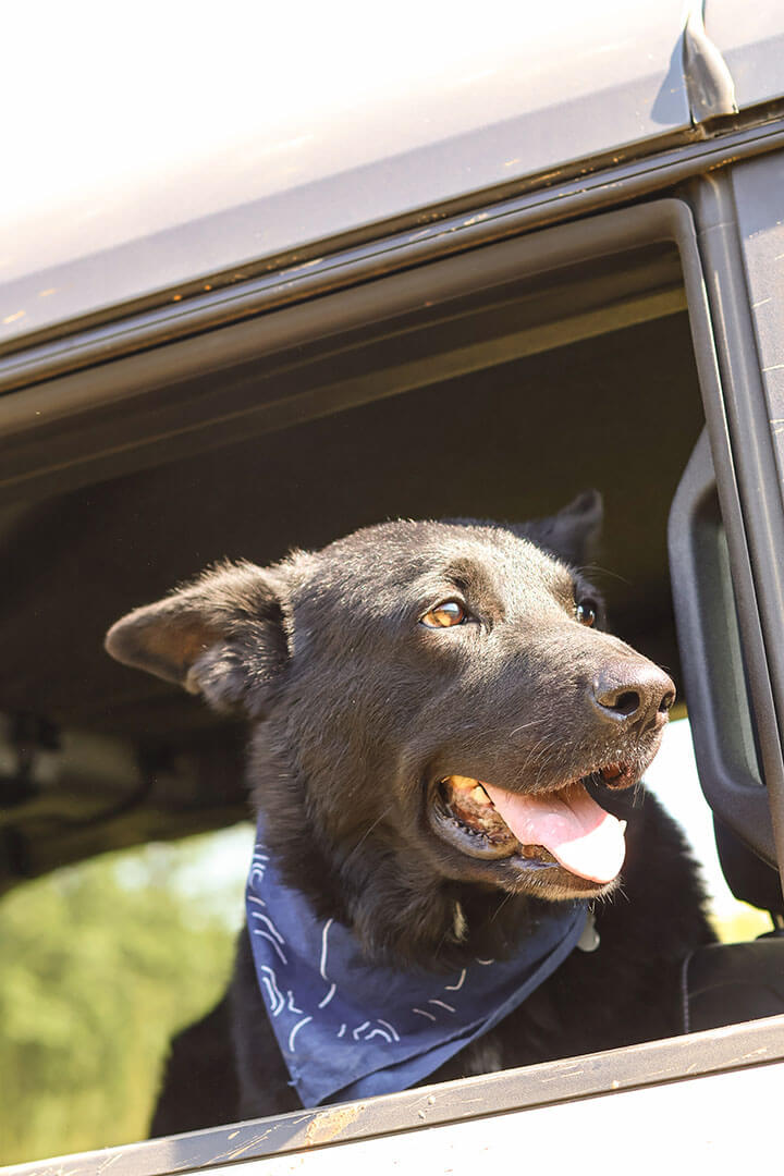 August 2025 Events photos