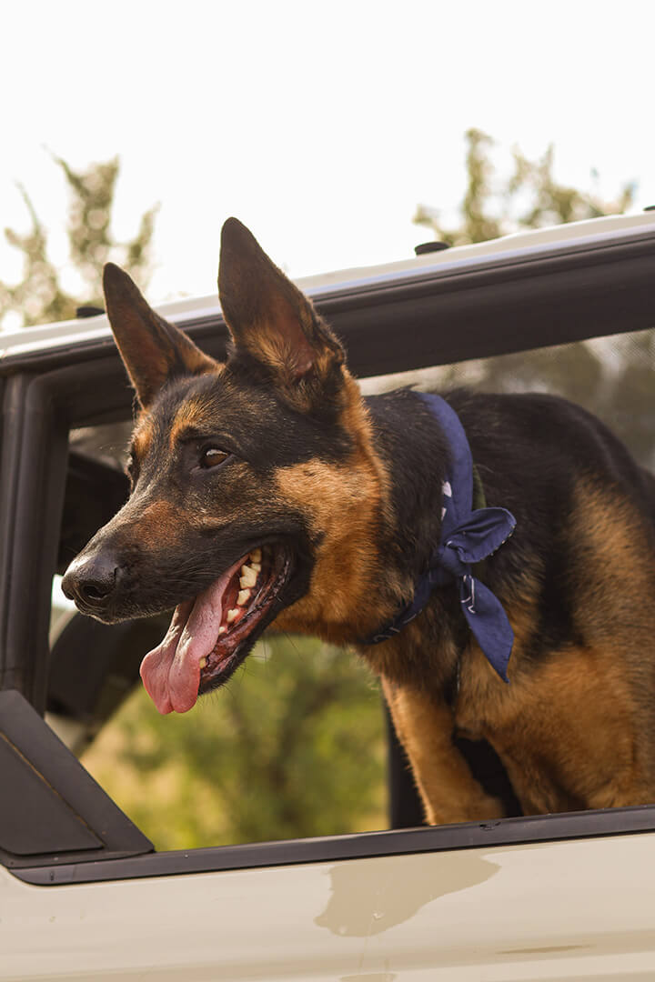 September 2025 Events photos